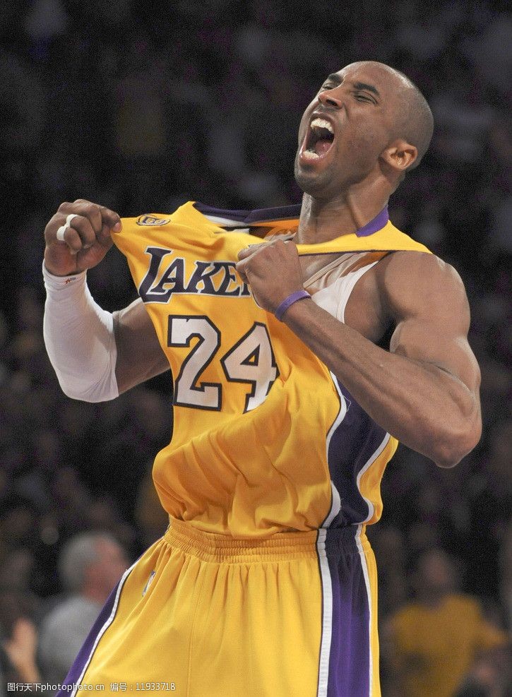 韦加缺阵 韦加缺阵